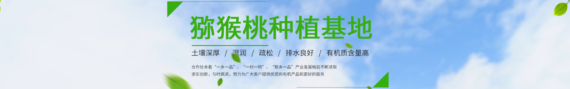 黄色视频免费播放在线观看